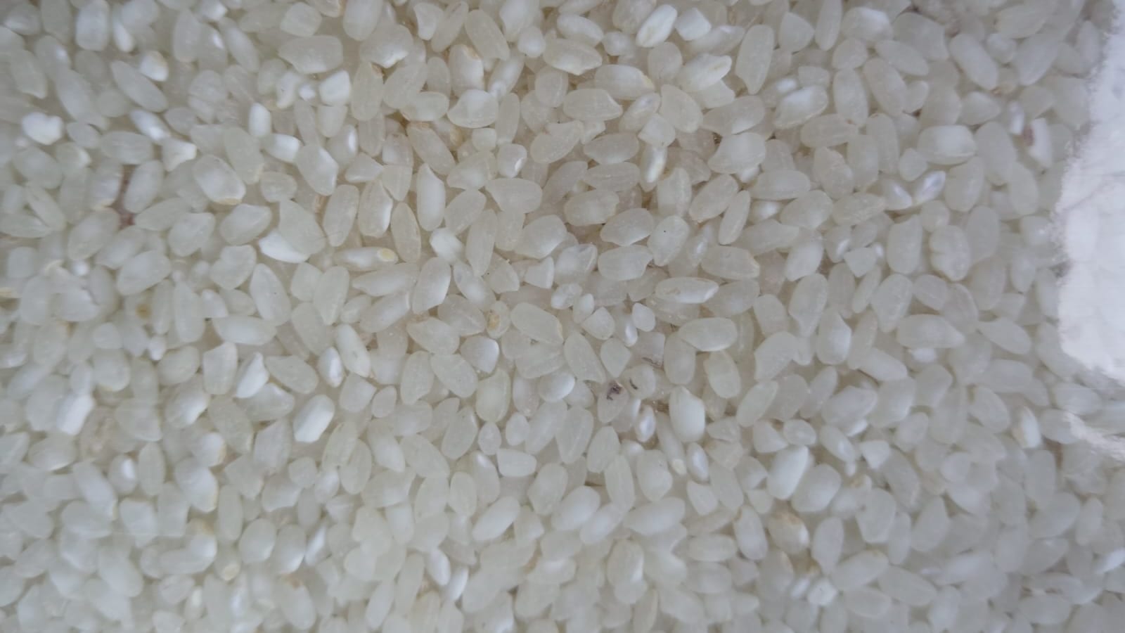 A close-up of uncooked white rice grains