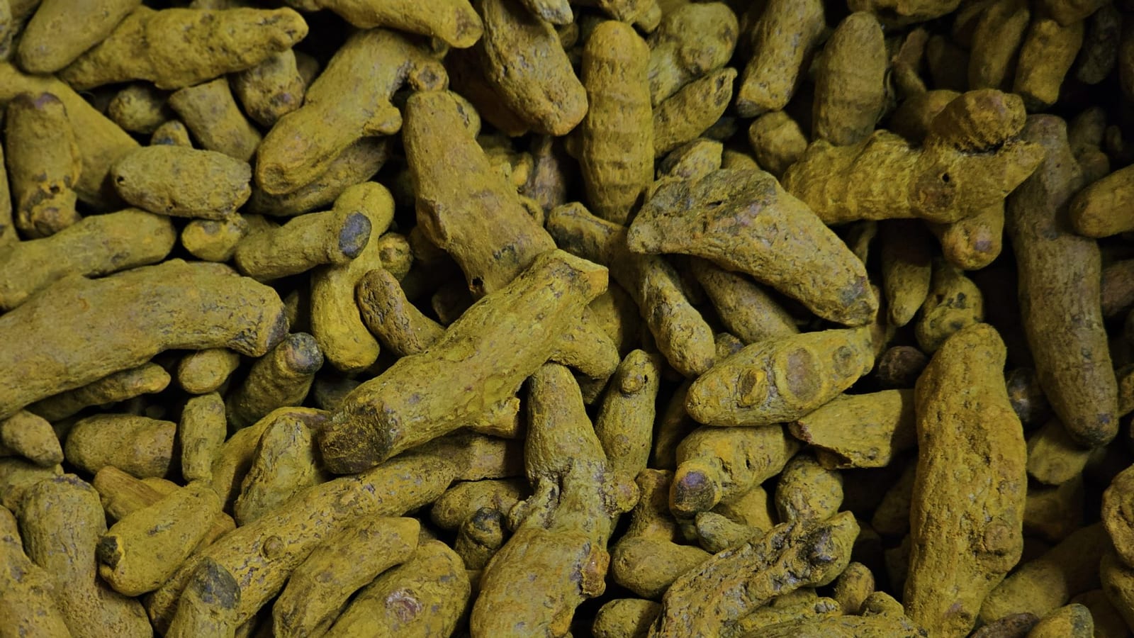 A close-up of dried golden-yellow turmeric roots